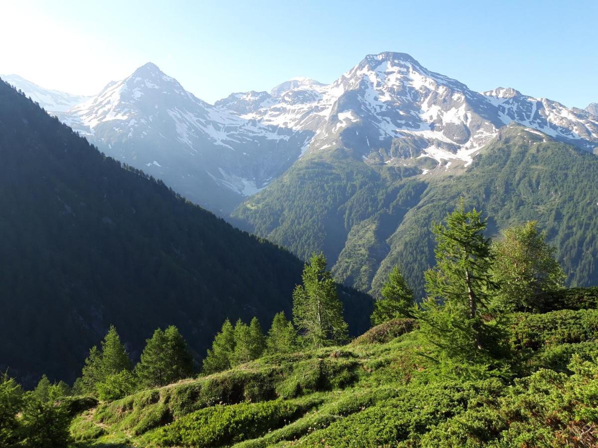 Chalet Bietschhorn Rosswald Termen Esterno foto