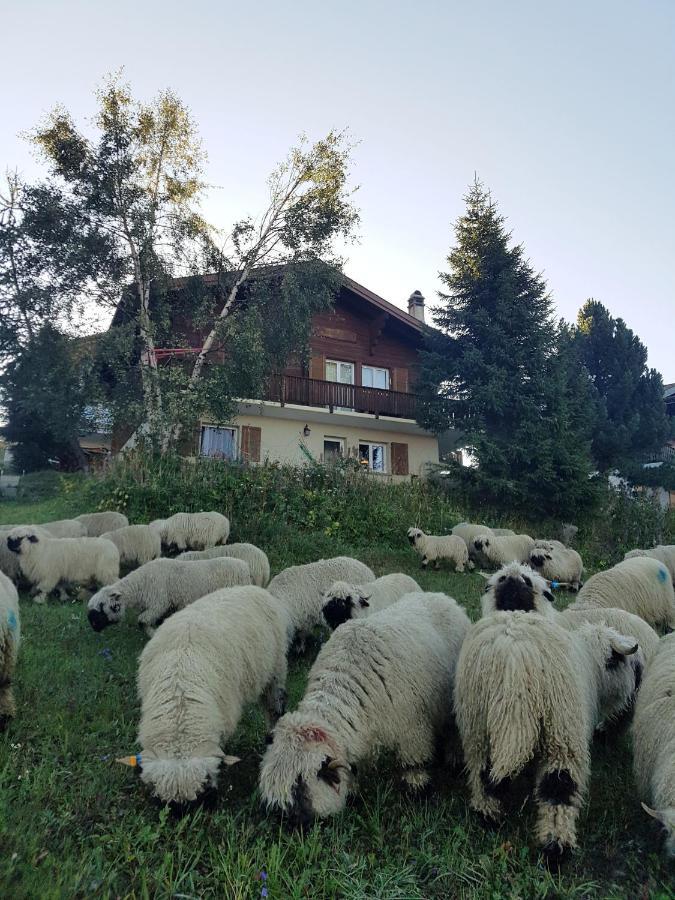 Chalet Bietschhorn Rosswald Termen Esterno foto